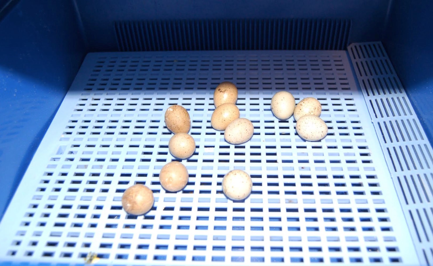 skjermbilde-2016-10-27-kl-10-03-33