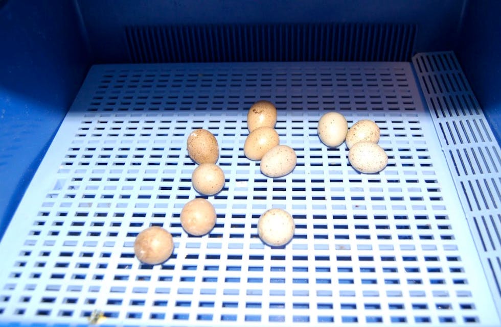 skjermbilde-2016-10-27-kl-10-03-33