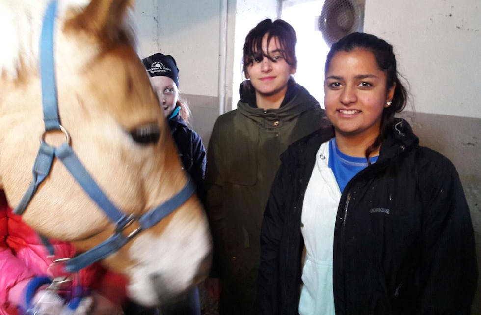 skjermbilde-2016-11-13-kl-16-19-05