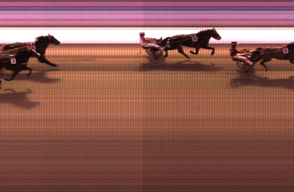 To av de tre første er fra Tysvær. Imponerende sterk i V75 i dag. Foto: Rikstoto.no