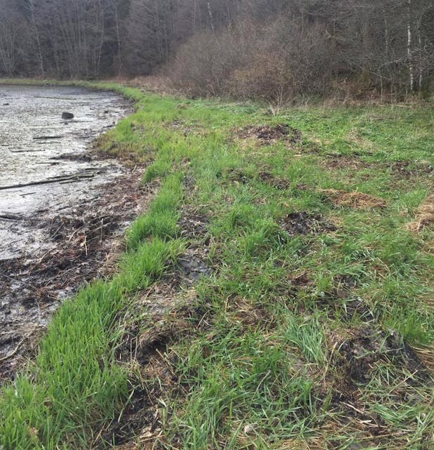 Skjermbilde 2017-05-03 kl. 13.29.31