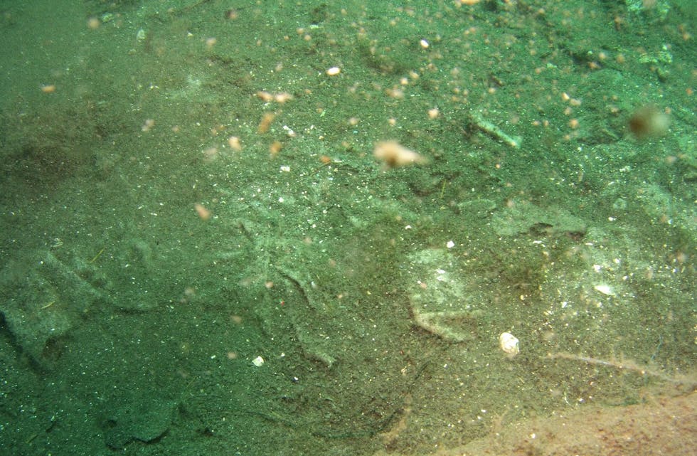 Eit undervassfoto viser kvit plast som stikk opp gjennom mudderet i botnen av Førrefjorden. Spørsmålet er kor det kjem frå.