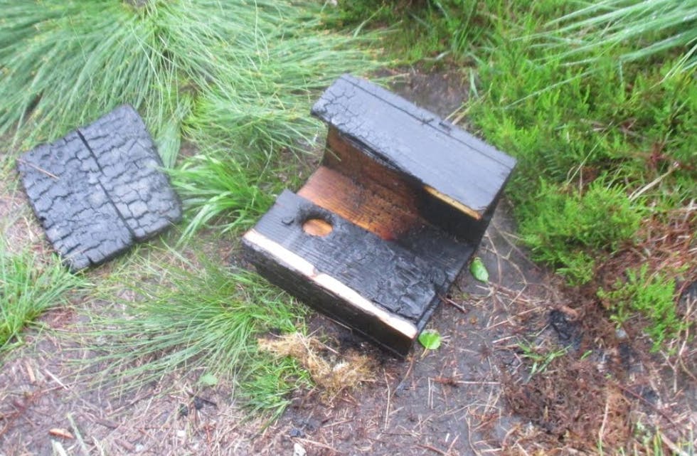 Fuglekasser med egg og reir er brent på bål. Friområdet har tydelige spor etter uønskede gjester. Nå fortviler barnehagen og ber om hjelp. Foto: Tysværvåg barnehage