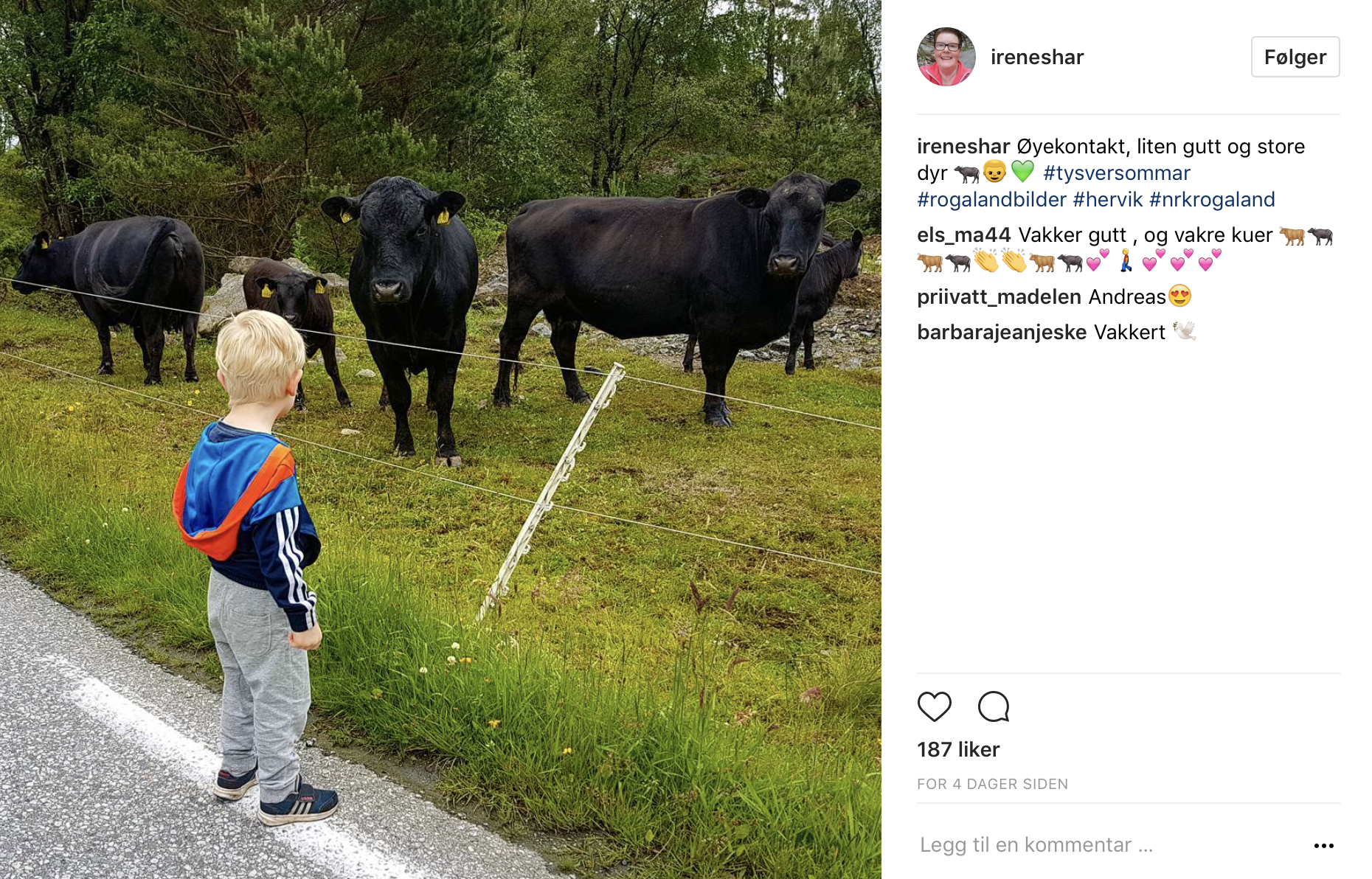 Skjermbilde 2017-06-30 kl. 09.15.40