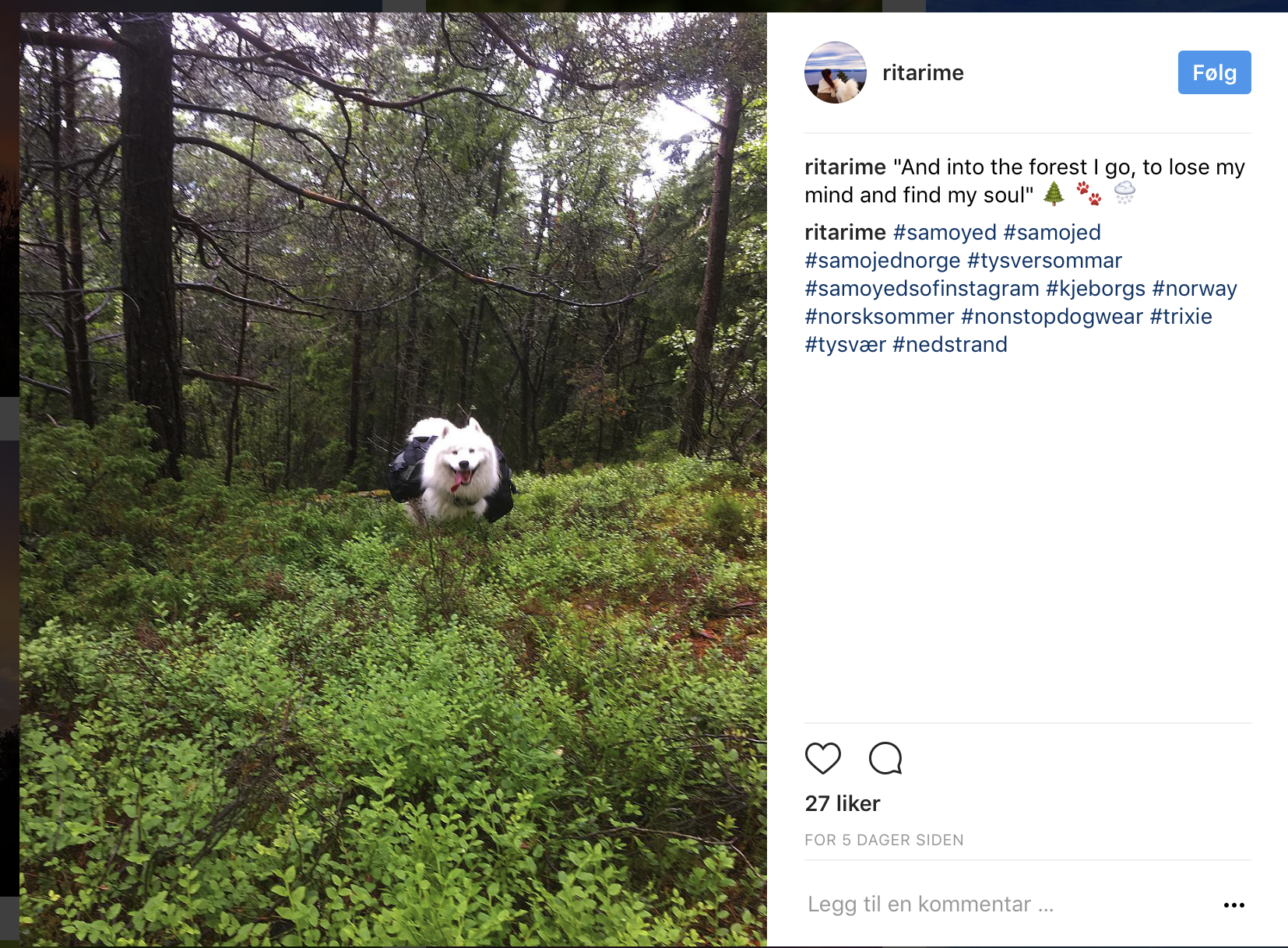 Skjermbilde 2017-06-30 kl. 09.16.02