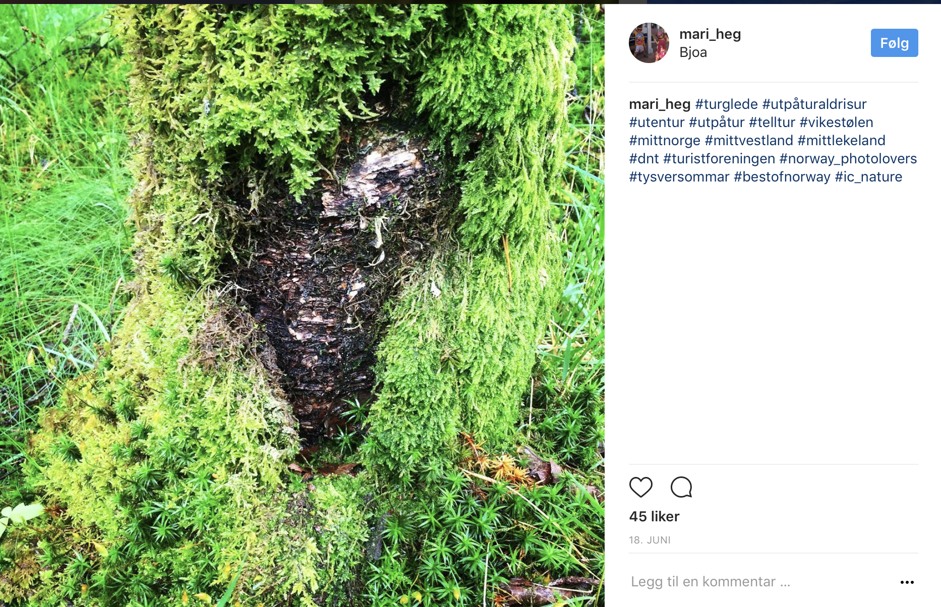 Skjermbilde 2017-06-30 kl. 09.17.27