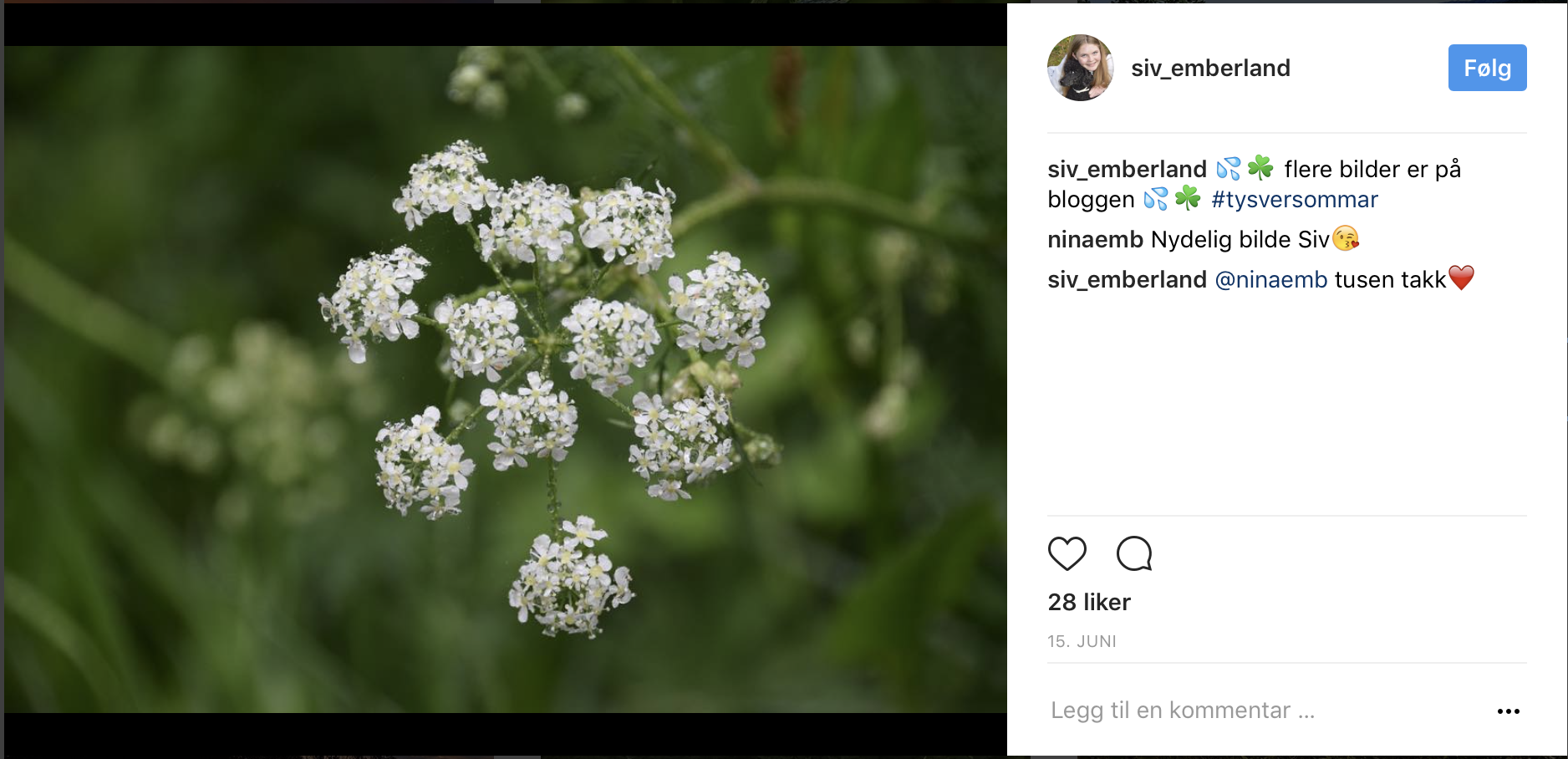 Skjermbilde 2017-06-30 kl. 09.18.47