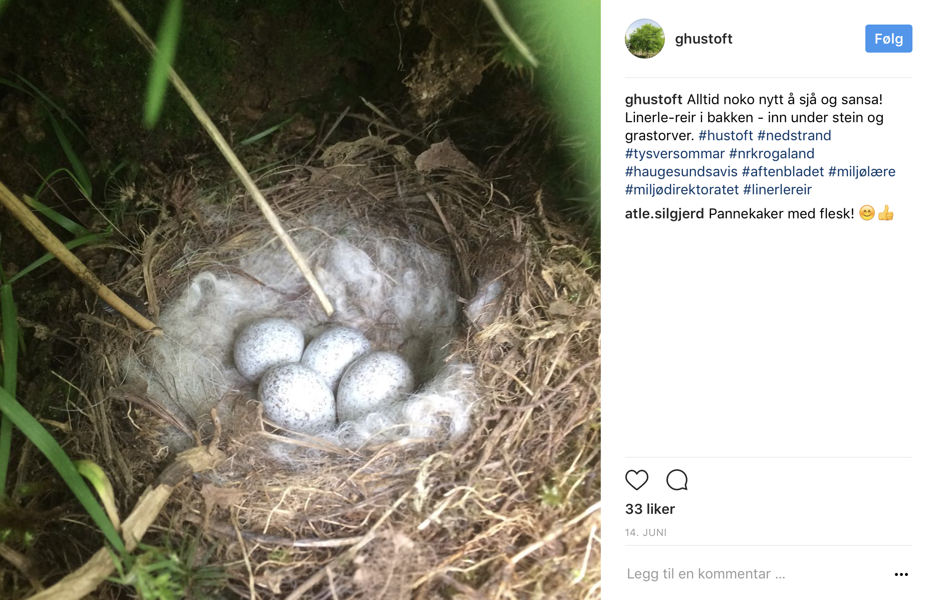 Skjermbilde 2017-06-30 kl. 09.19.14