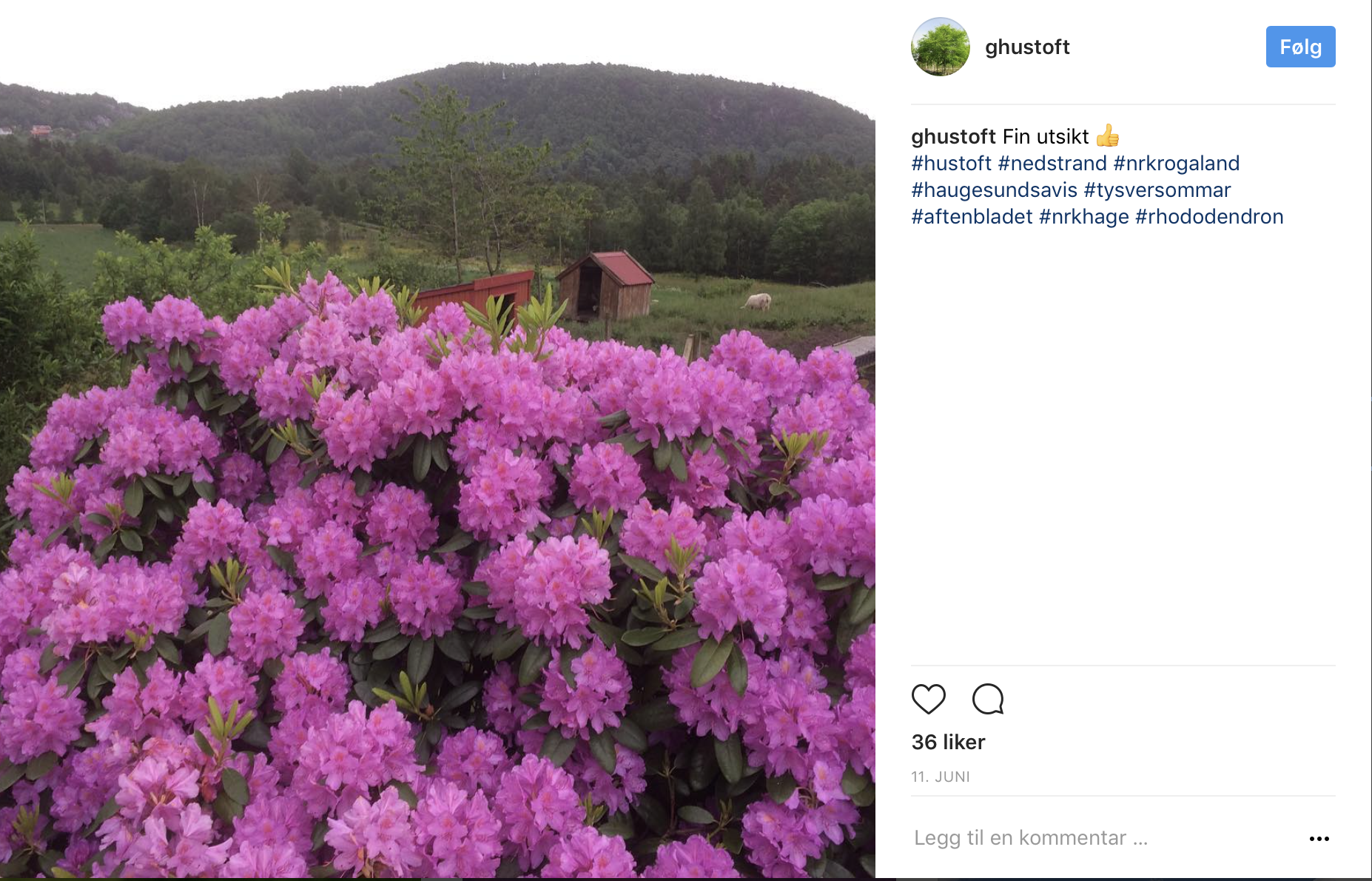 Skjermbilde 2017-06-30 kl. 09.19.34