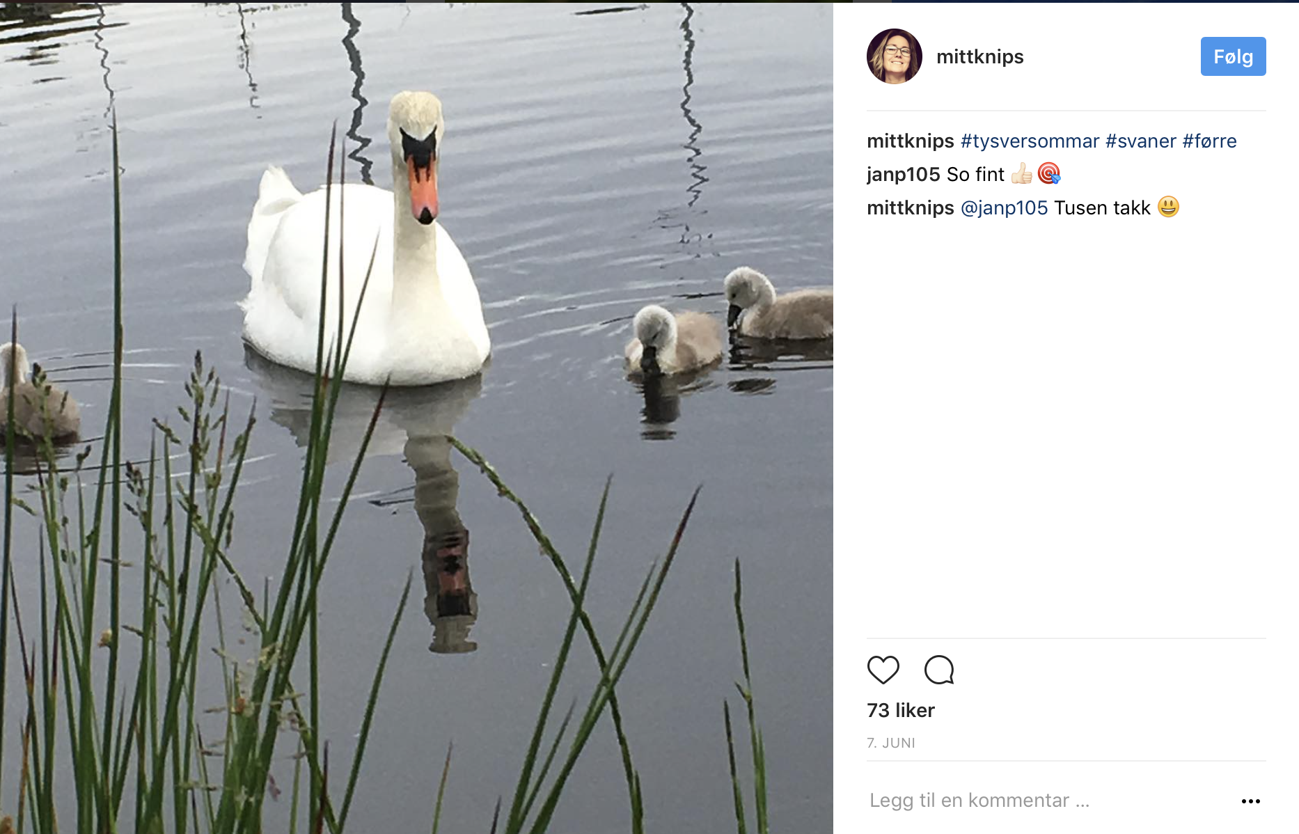 Skjermbilde 2017-06-30 kl. 09.21.23