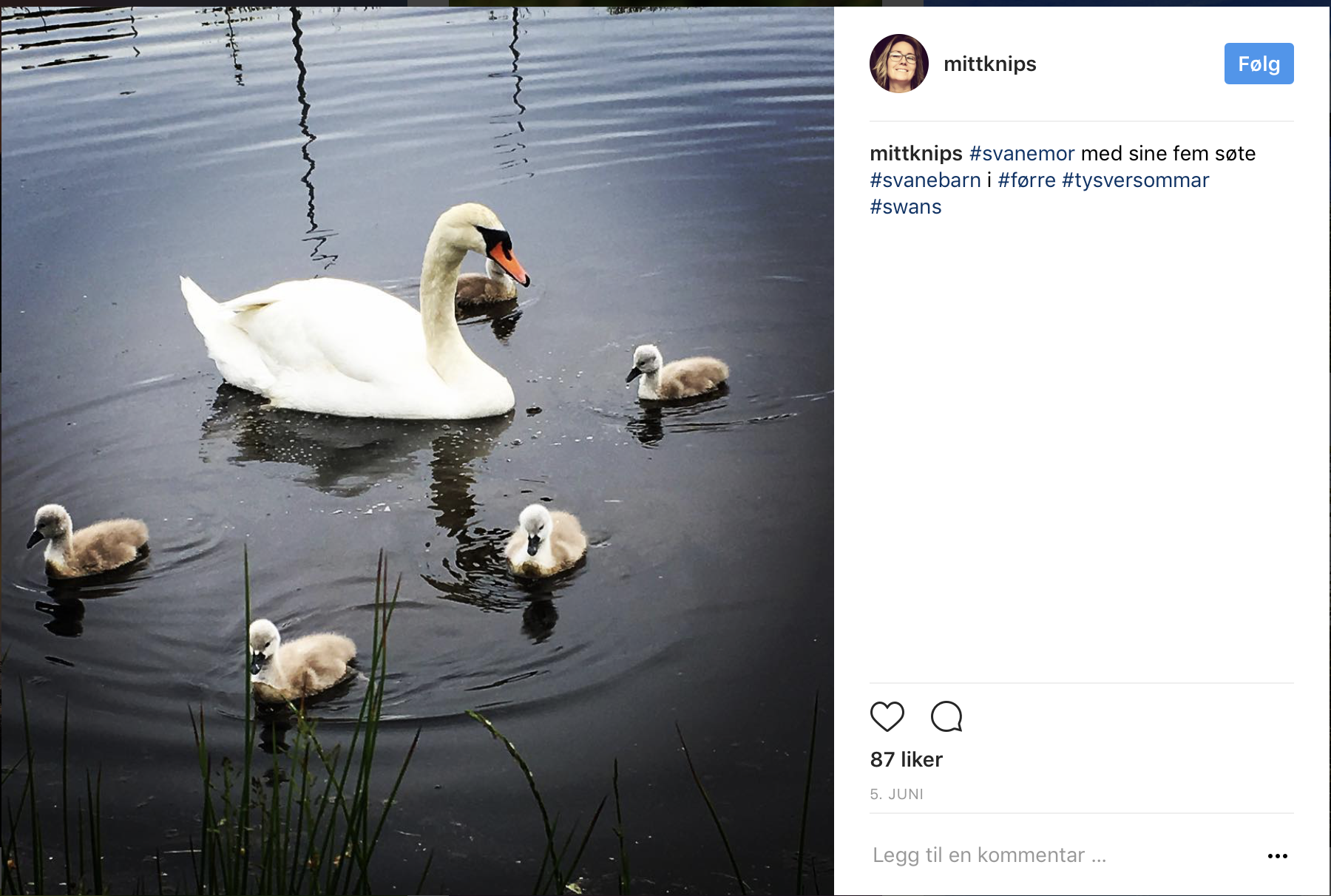 Skjermbilde 2017-06-30 kl. 09.22.07