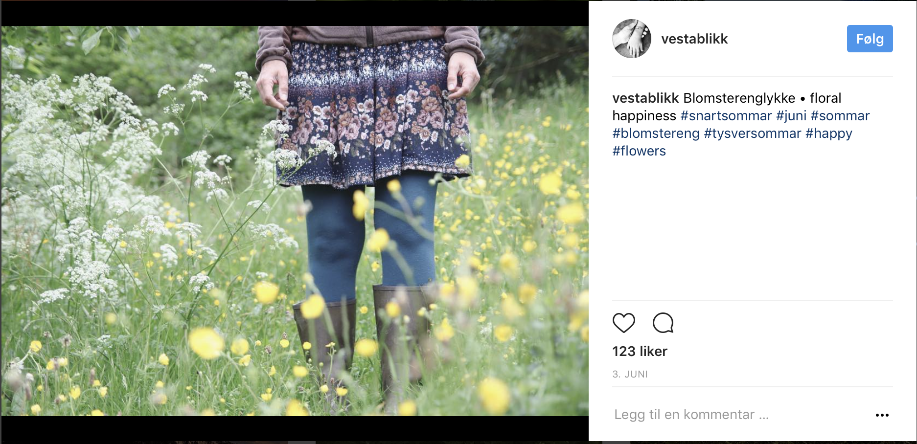 Skjermbilde 2017-06-30 kl. 09.22.34