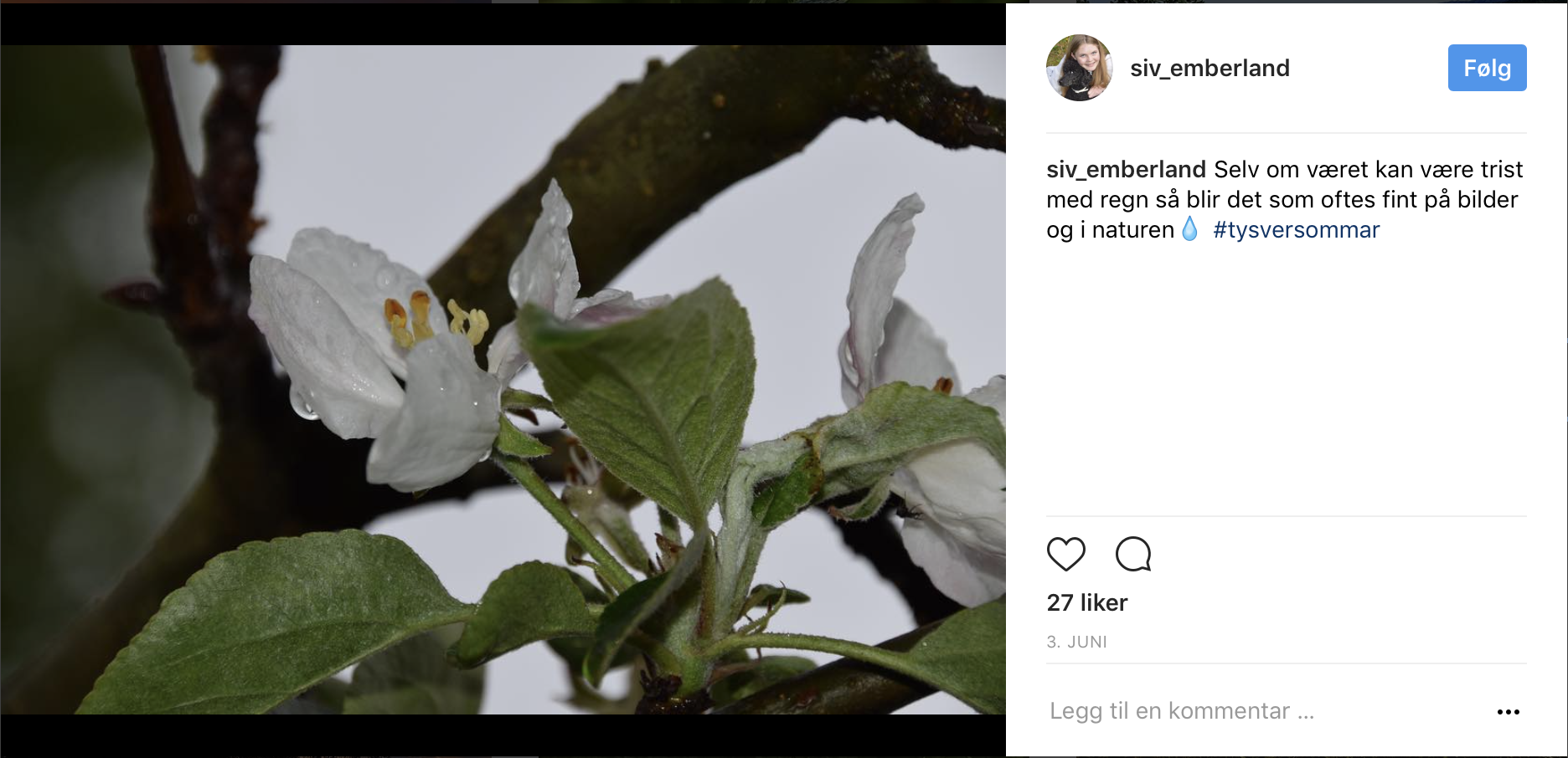 Skjermbilde 2017-06-30 kl. 09.22.44