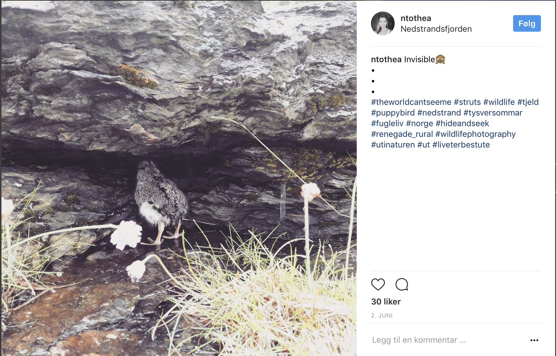 Skjermbilde 2017-06-30 kl. 09.23.08