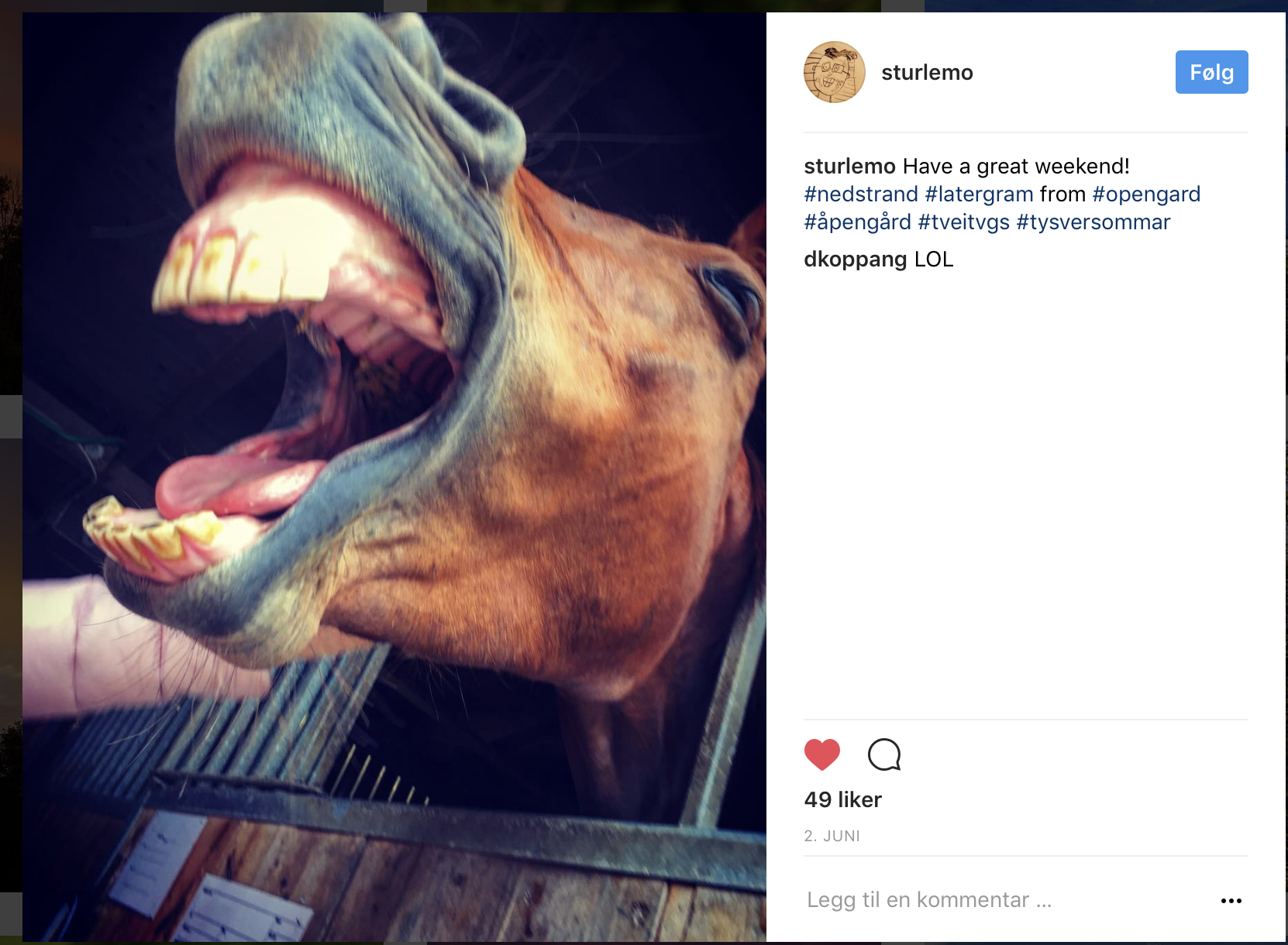 Skjermbilde 2017-06-30 kl. 09.23.17