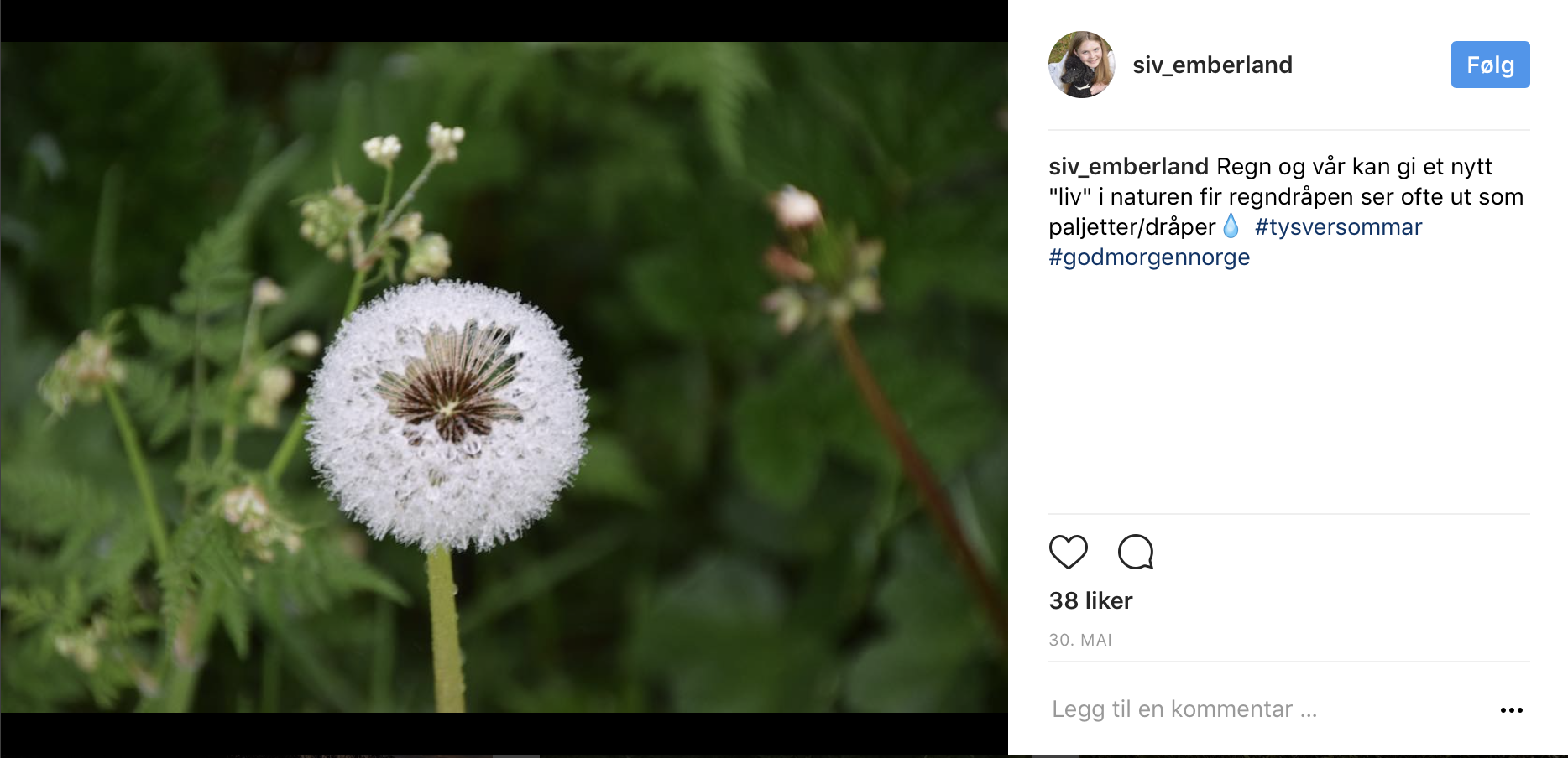 Skjermbilde 2017-06-30 kl. 09.24.13