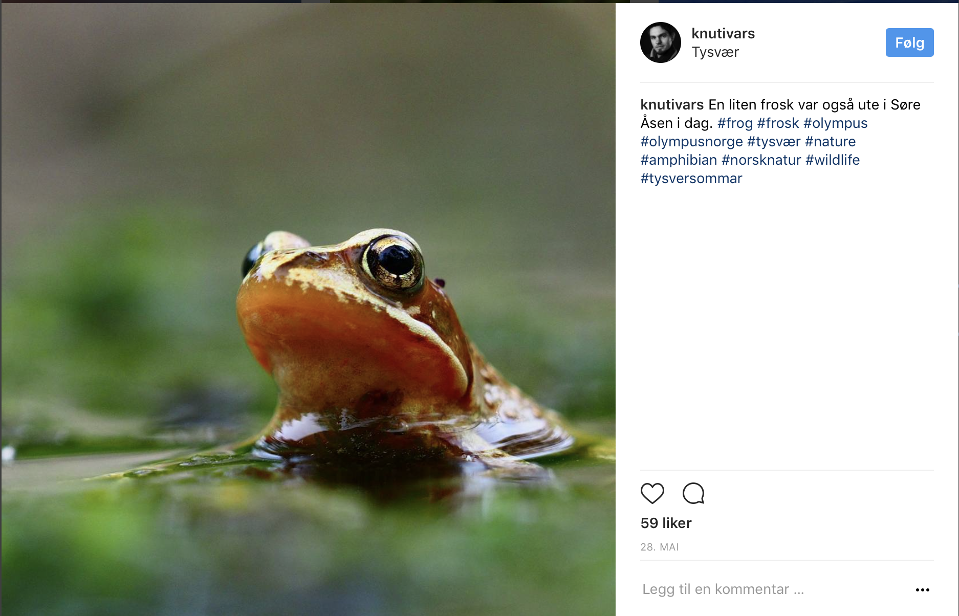 Skjermbilde 2017-06-30 kl. 09.25.11