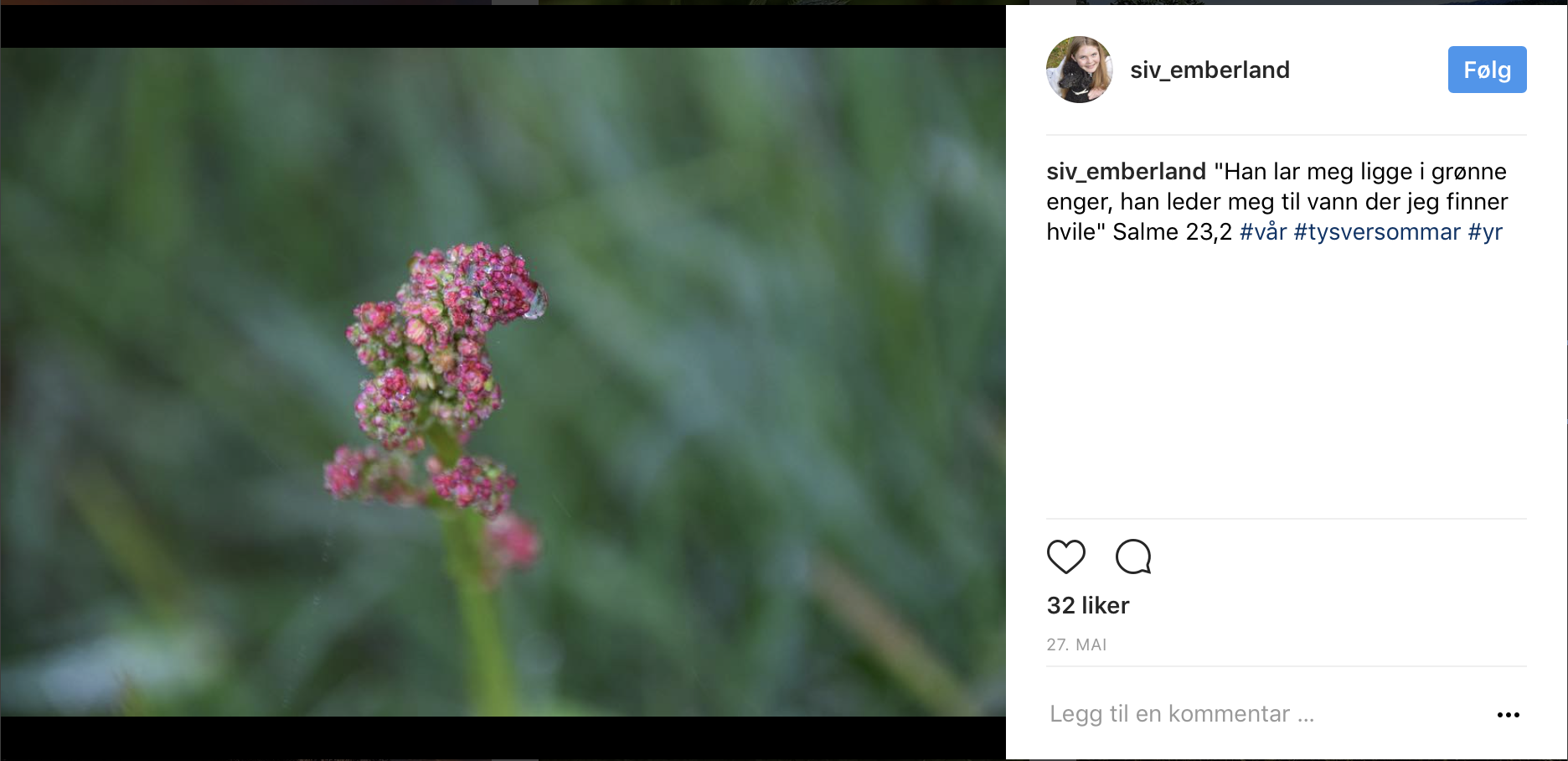 Skjermbilde 2017-06-30 kl. 09.26.05