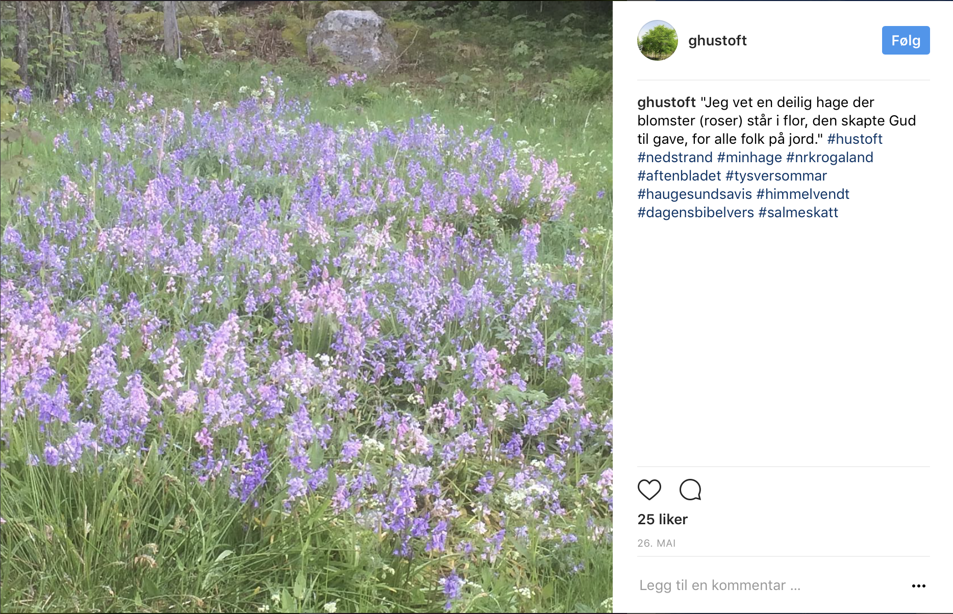 Skjermbilde 2017-06-30 kl. 09.26.22