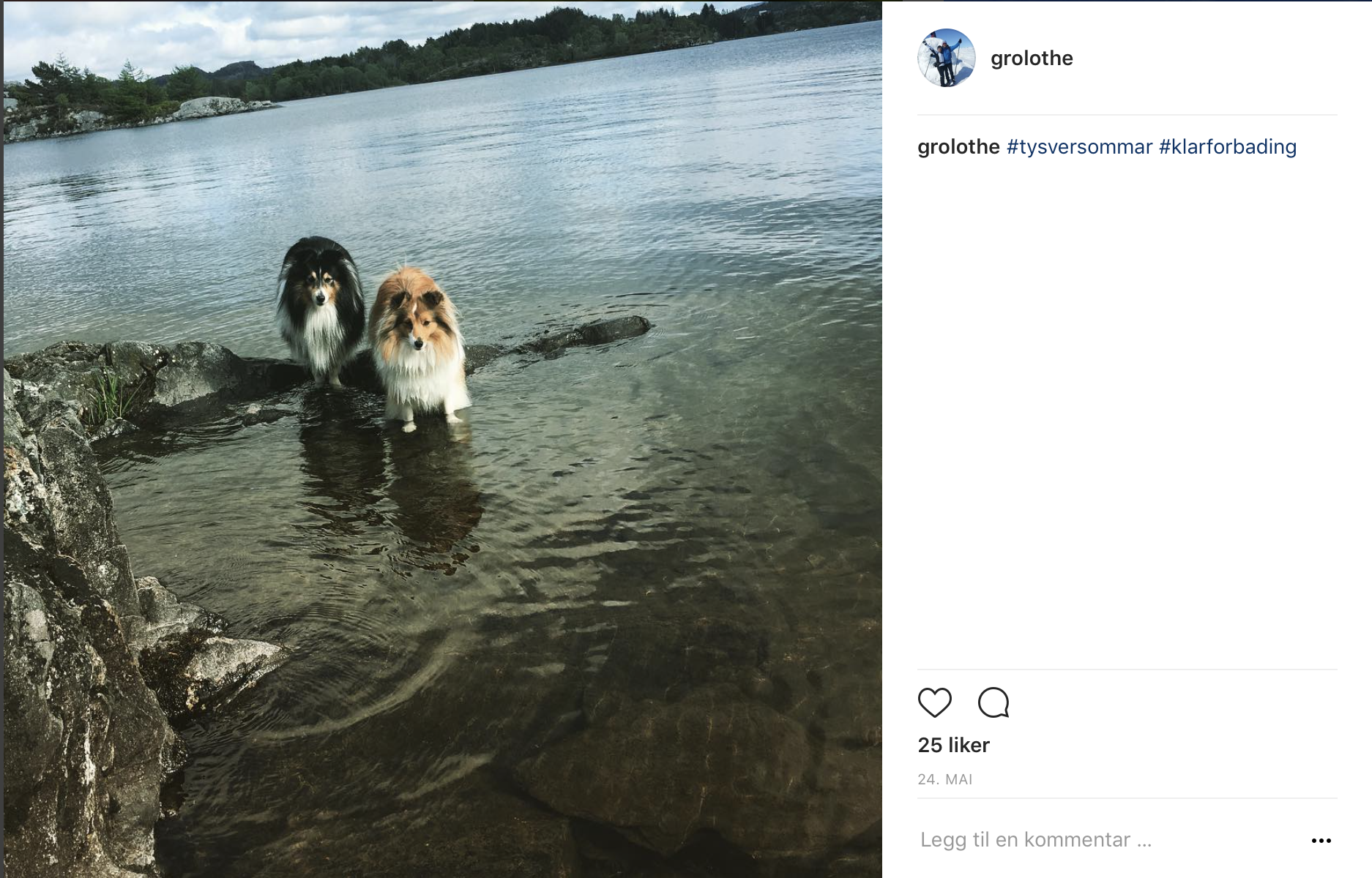 Skjermbilde 2017-06-30 kl. 09.26.47