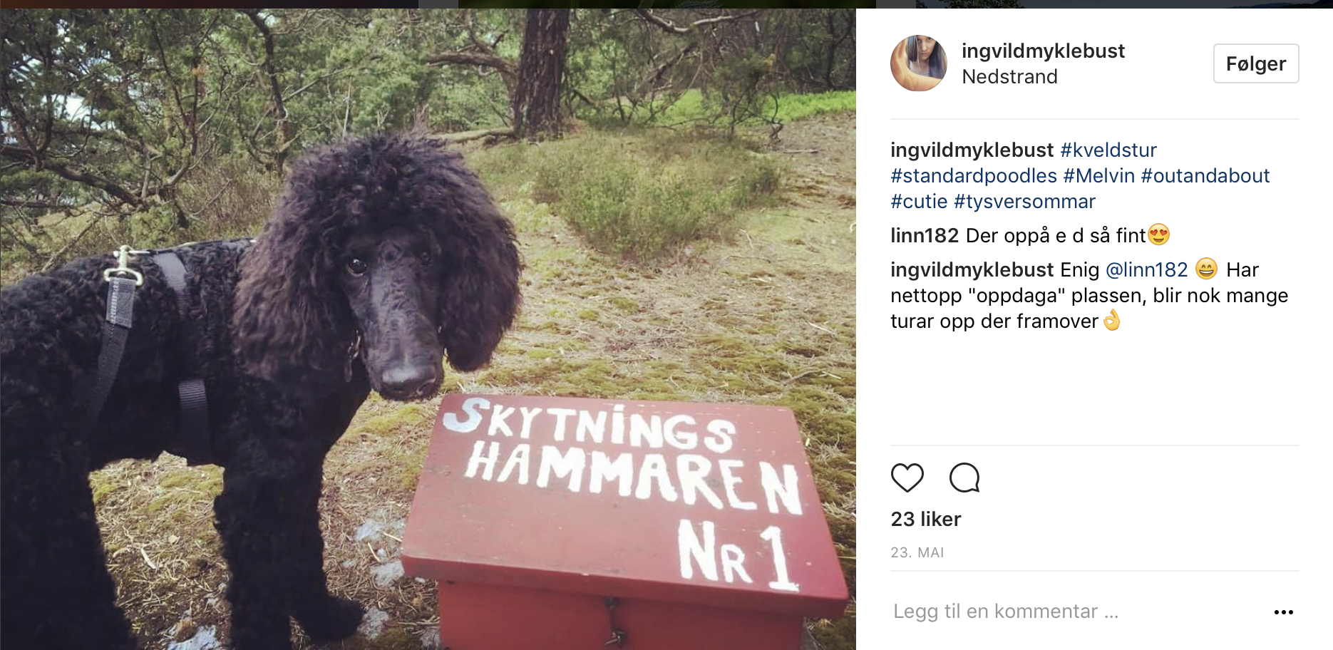 Skjermbilde 2017-06-30 kl. 09.26.58