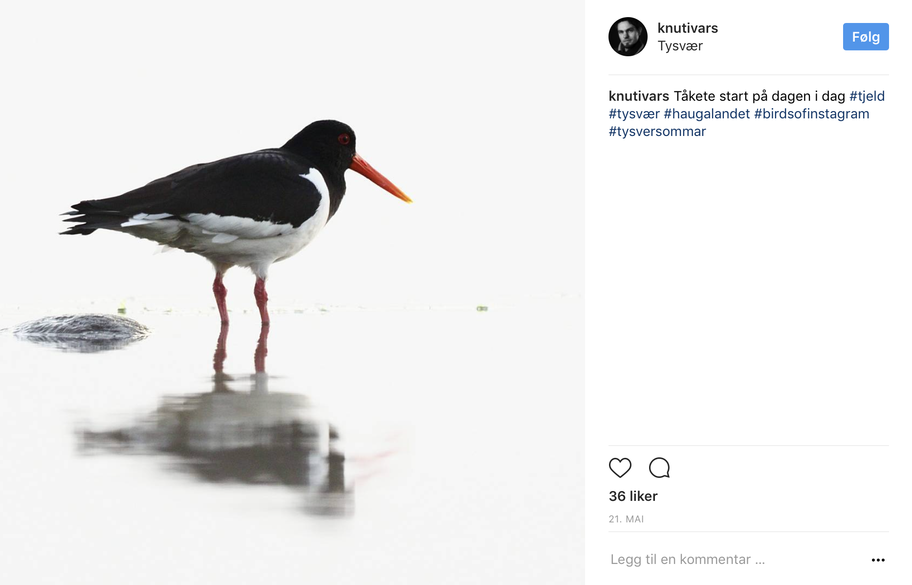 Skjermbilde 2017-06-30 kl. 09.27.28