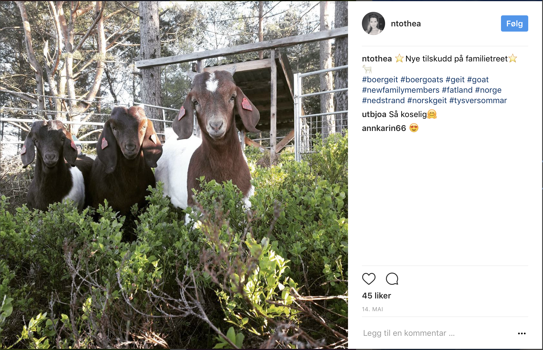 Skjermbilde 2017-06-30 kl. 09.27.37