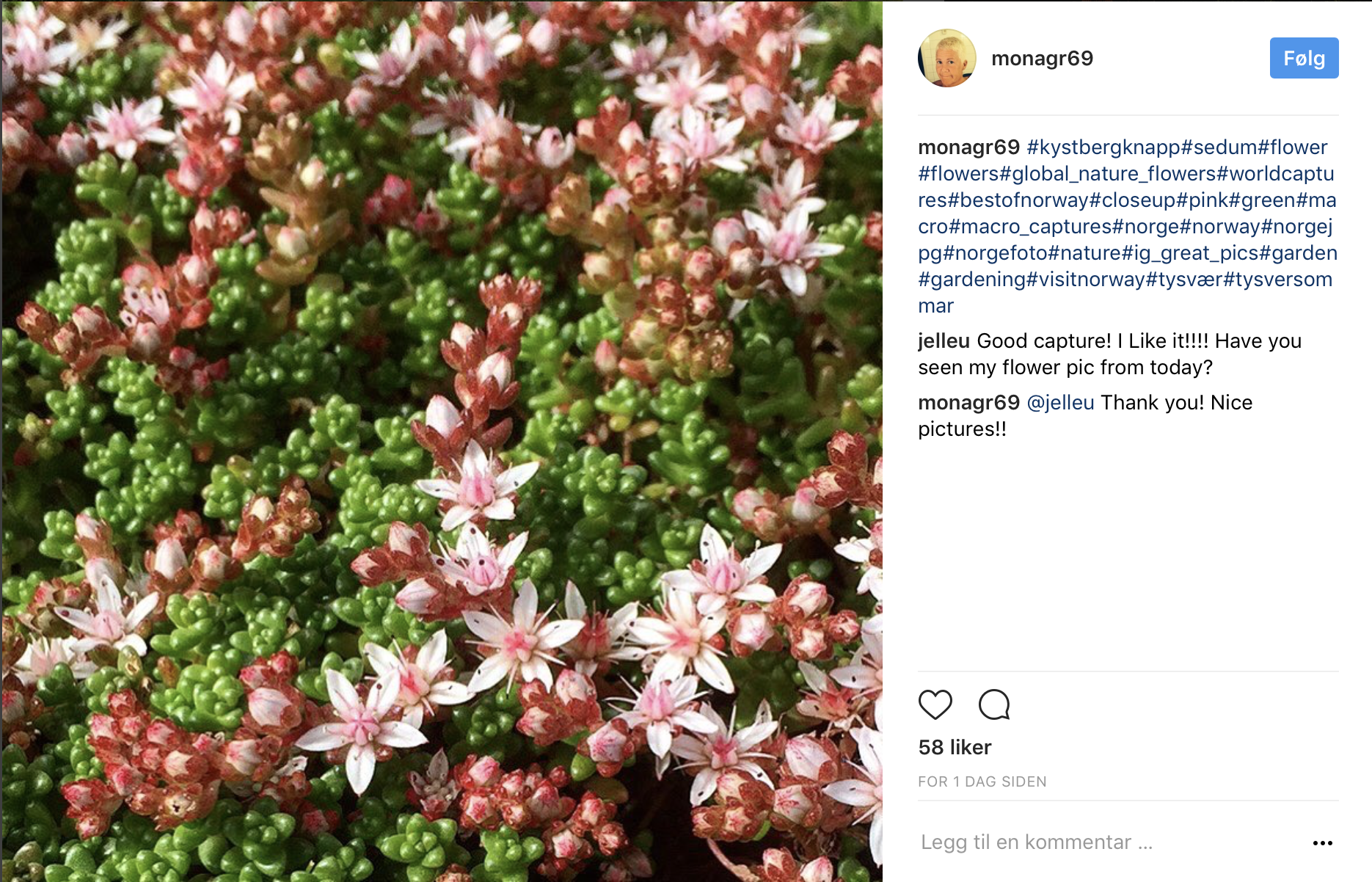 Skjermbilde 2017-07-03 kl. 14.09.58