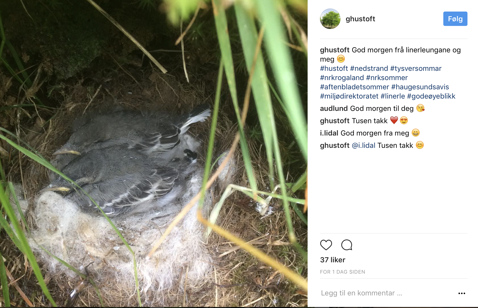 Skjermbilde 2017-07-03 kl. 14.11.30