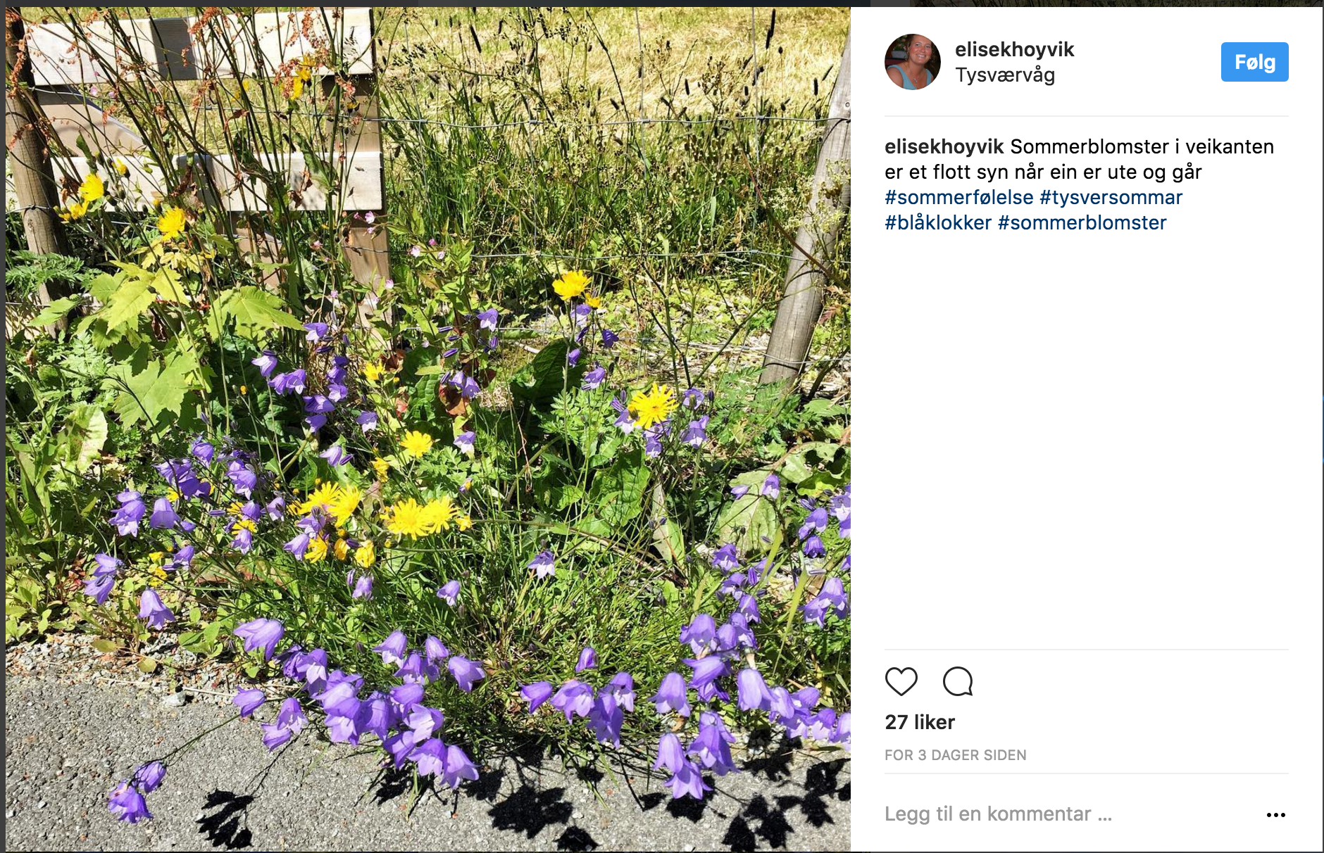 Skjermbilde 2017-07-10 kl. 14.43.40