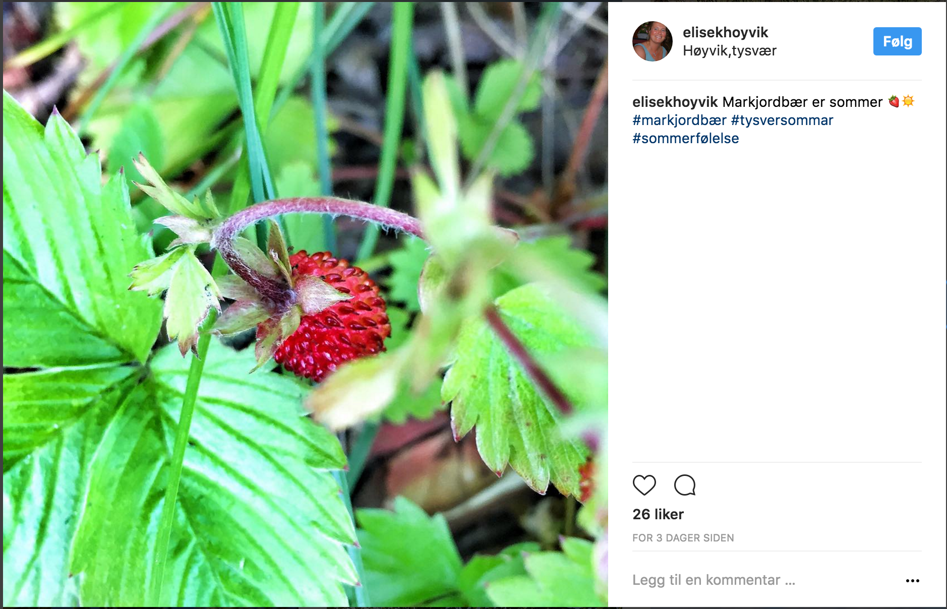 Skjermbilde 2017-07-10 kl. 14.43.49