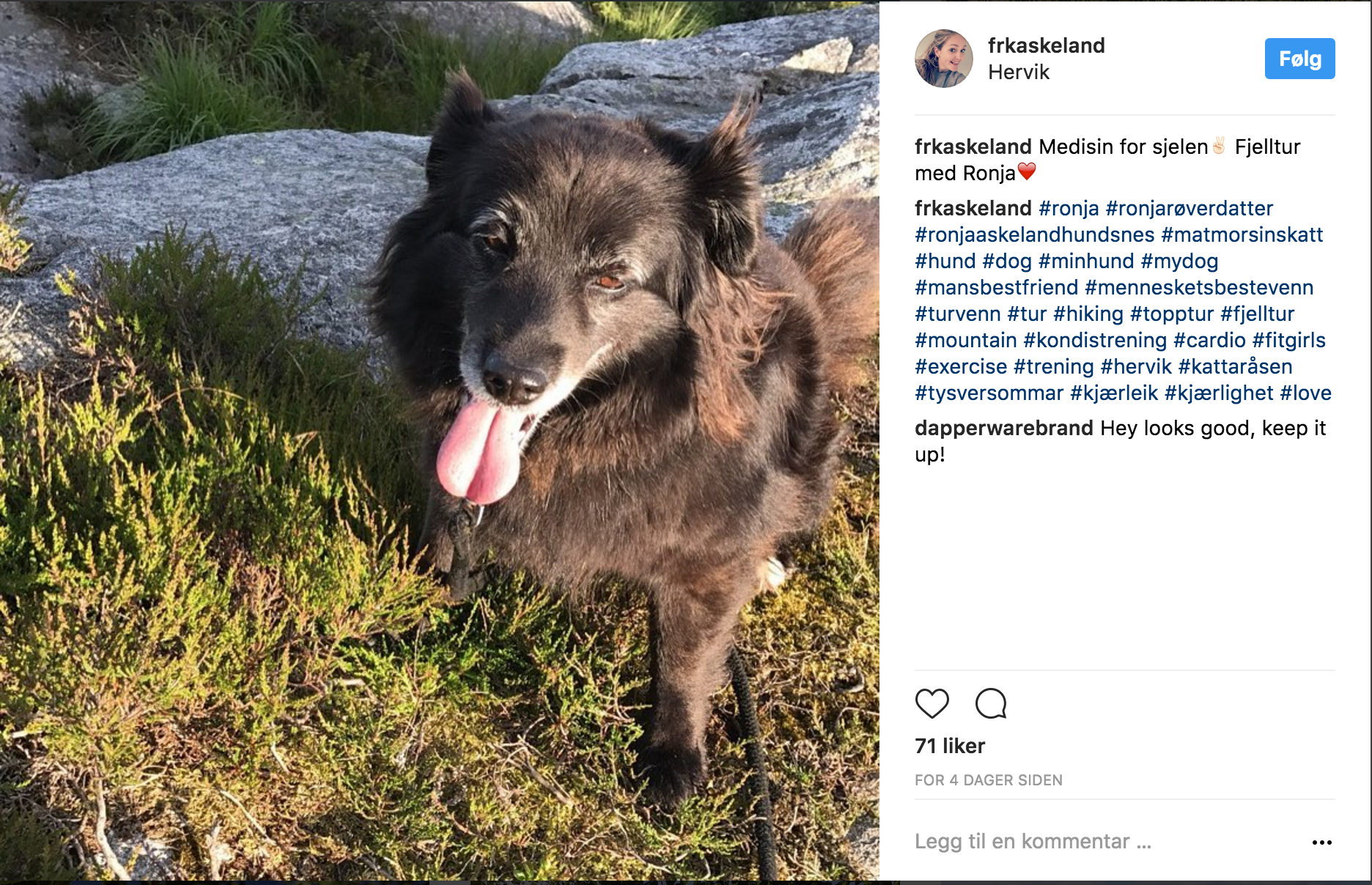 Skjermbilde 2017-07-10 kl. 14.44.03