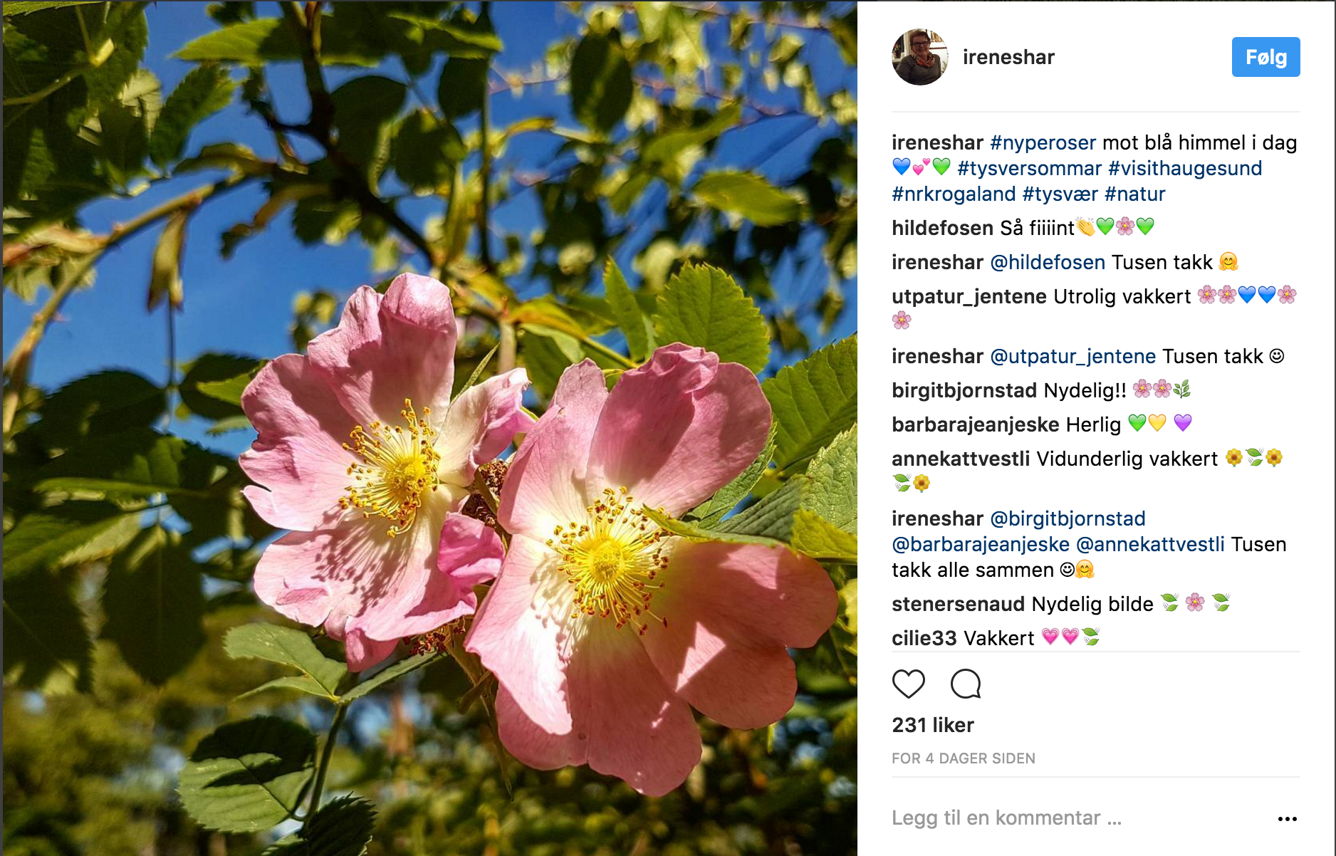 Skjermbilde 2017-07-10 kl. 14.44.15