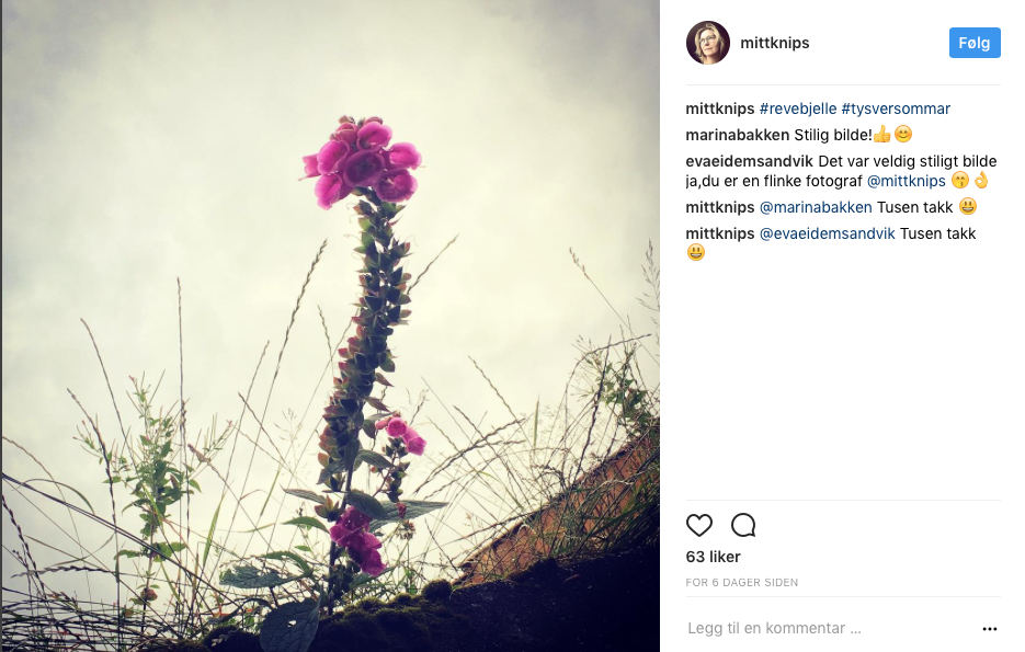 Skjermbilde 2017-08-03 kl. 13.42.01