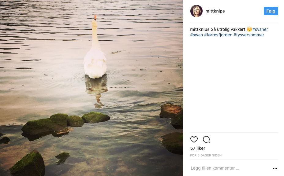 Skjermbilde 2017-08-03 kl. 13.42.31