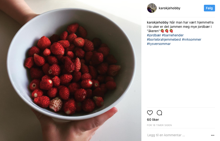 Skjermbilde 2017-08-03 kl. 13.42.48