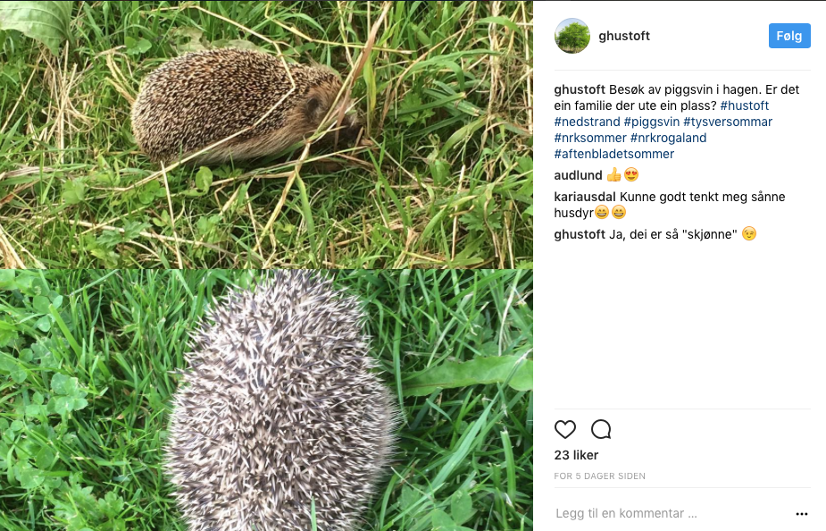 Skjermbilde 2017-08-03 kl. 13.43.34