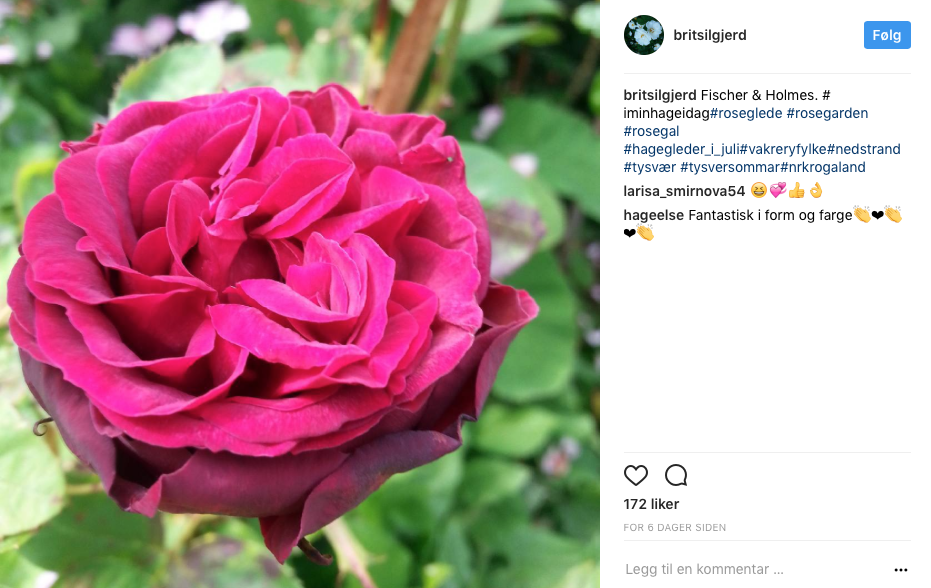 Skjermbilde 2017-08-03 kl. 13.43.51