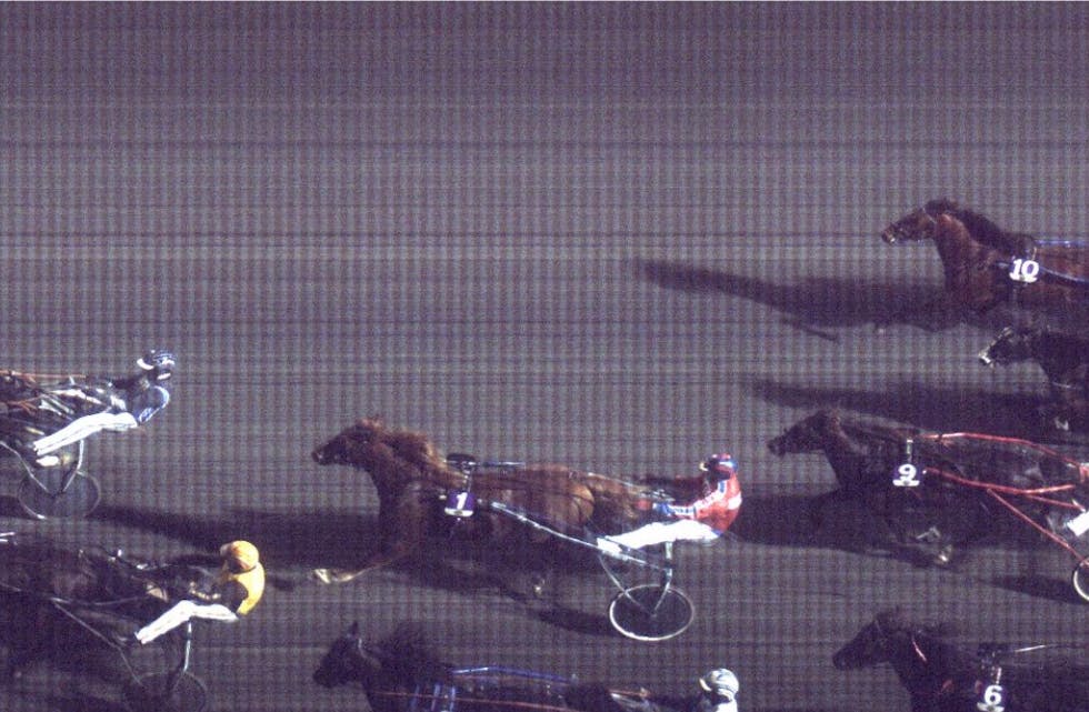 Tysvær Kongen vant, ikke med mye, men mer enn nok til at familien Lønning kan juble over den 1. V5-seieren. Foto: Rikstoto.no