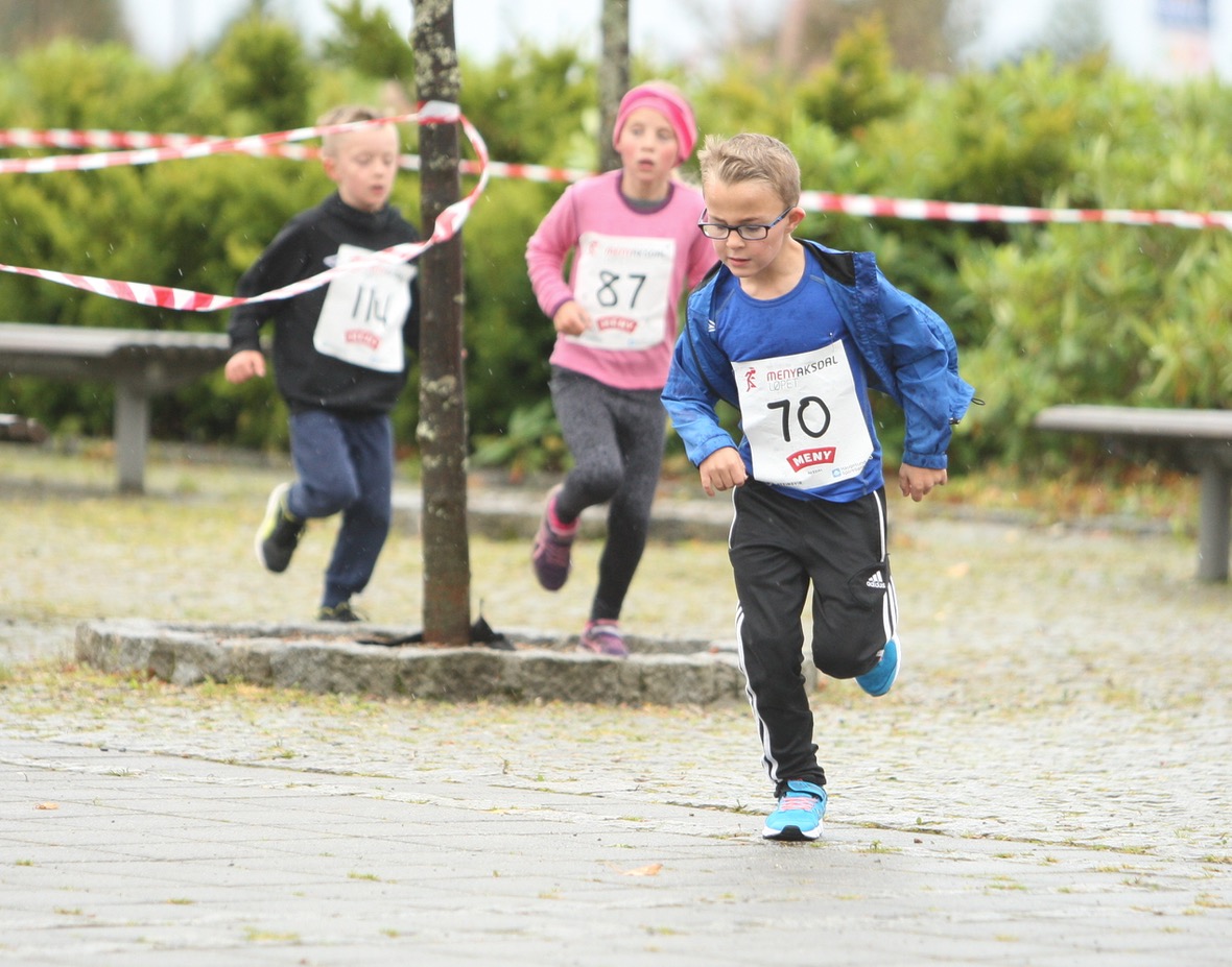 Skjermbilde 2017-09-30 kl. 13.44.14