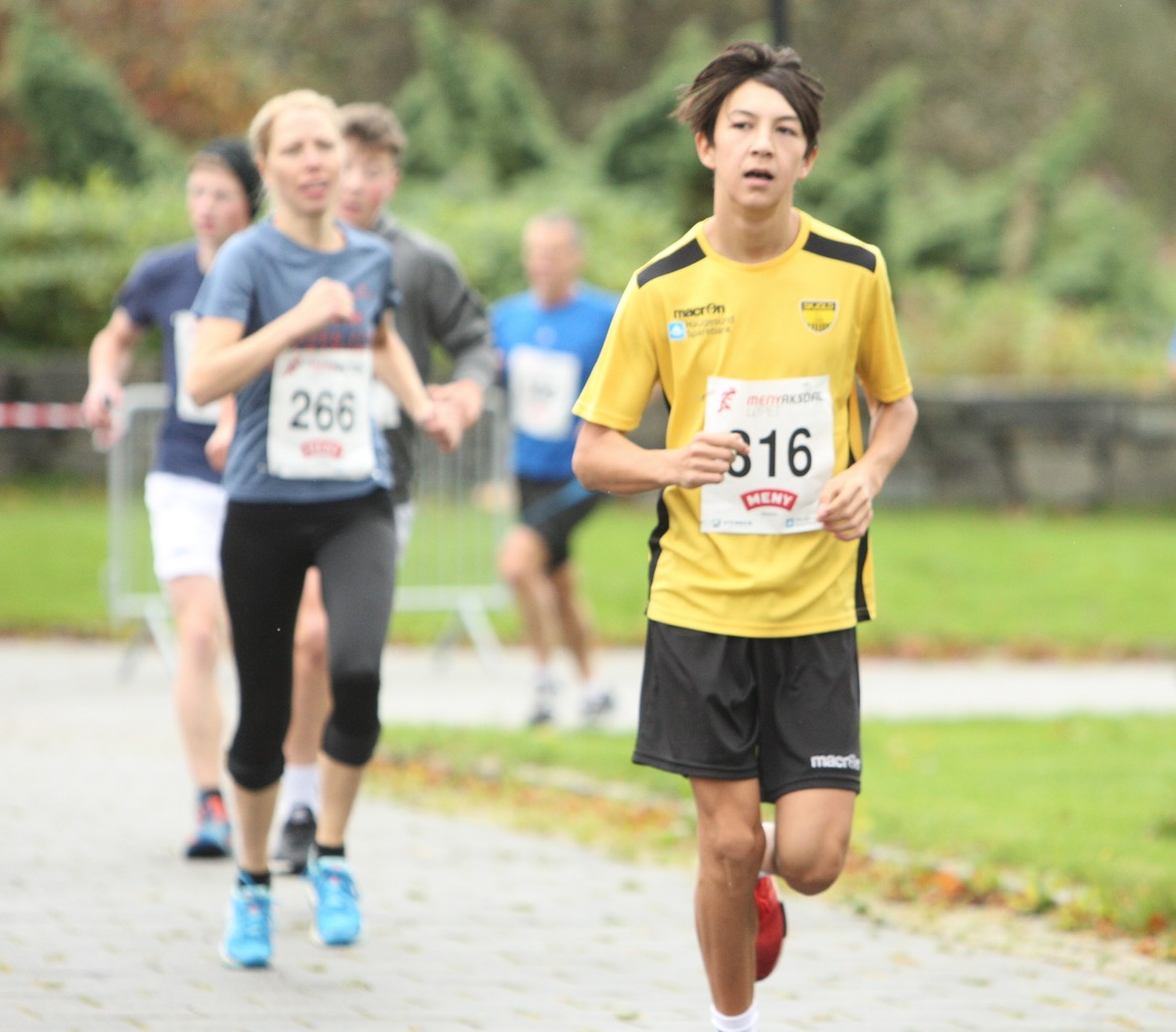 Skjermbilde 2017-09-30 kl. 13.59.18