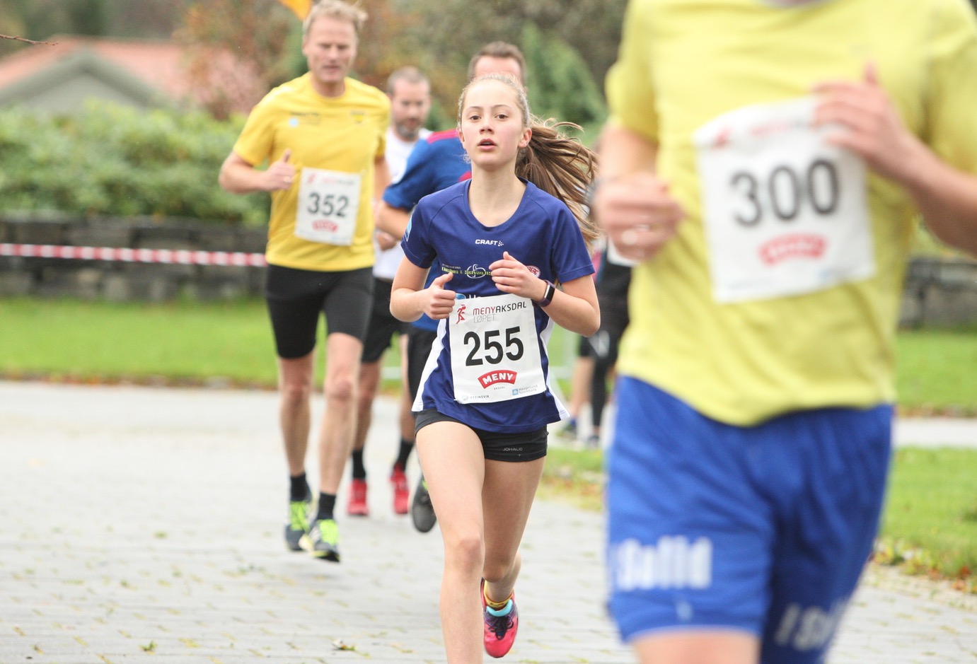 Skjermbilde 2017-09-30 kl. 14.00.04