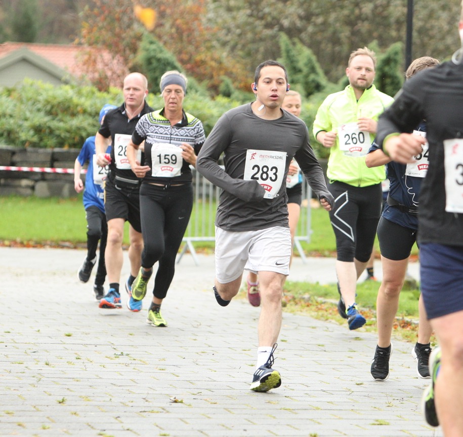 Skjermbilde 2017-09-30 kl. 14.00.32