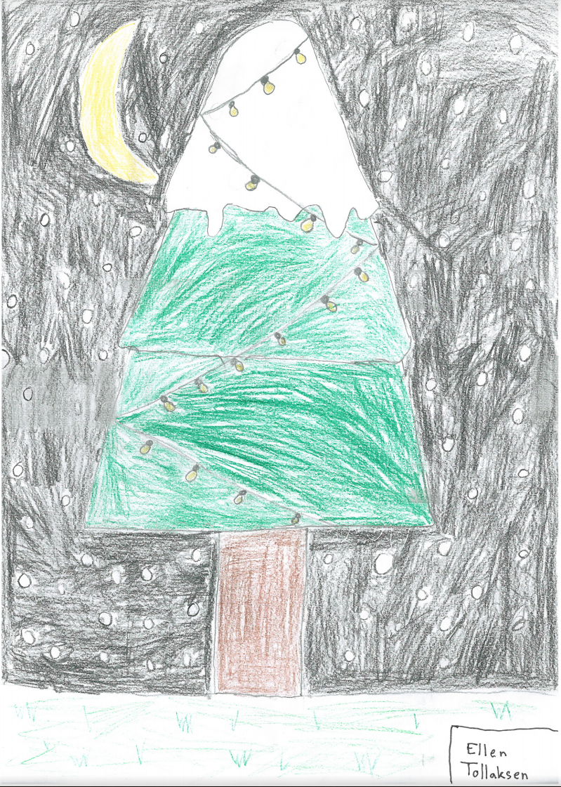 Skjermbilde 2017-12-07 kl. 10.47.27