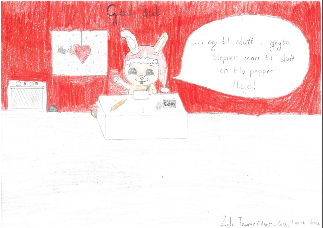 Skjermbilde 2017-12-22 kl. 08.54.34