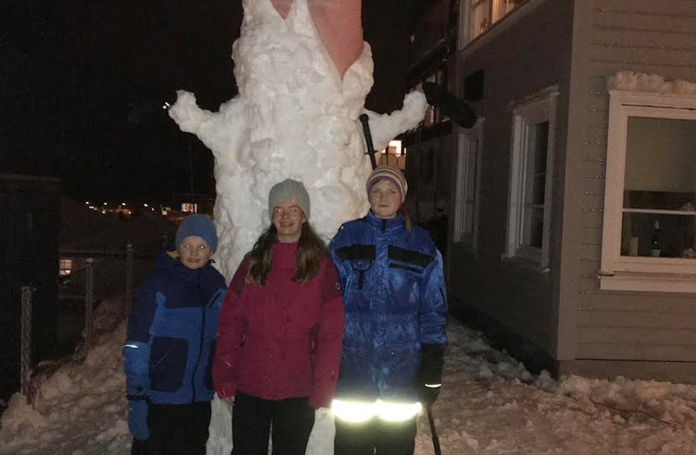 Laget av Mathias Wiig Hovda, Mari Wiig Hovda og Astrid Brugger Høyland.