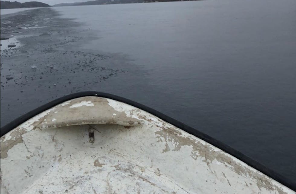 Endelig har en klart å kjøre opp et spor i isen. Foto: Tor Arne Lie