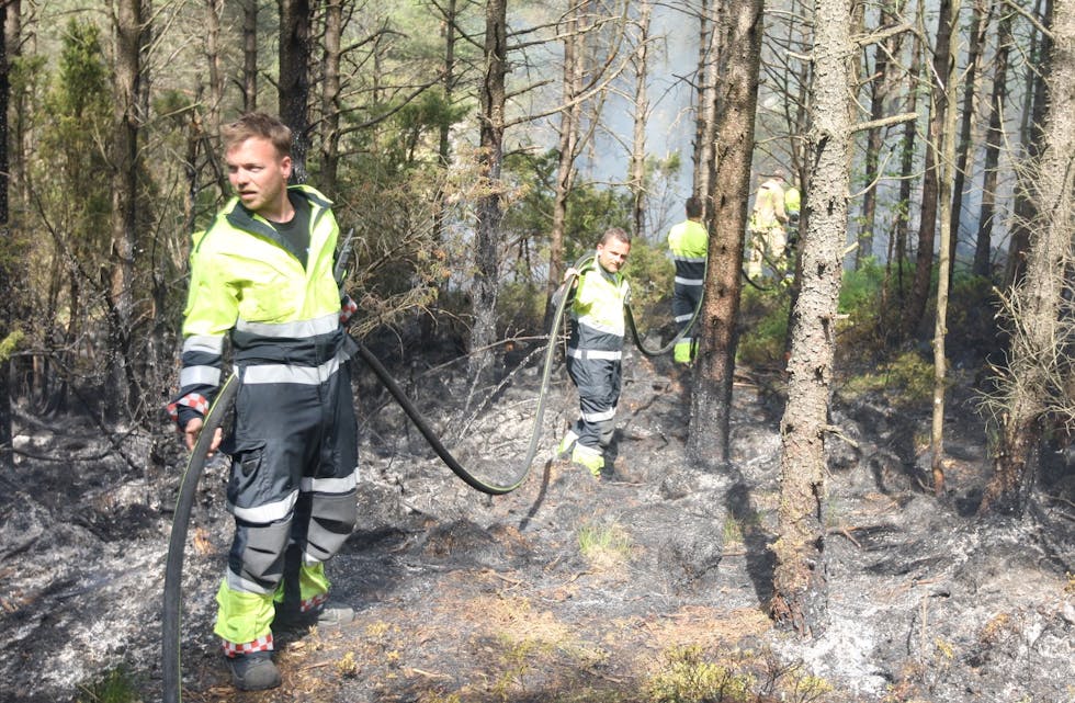 Et område på et par hundre kvadratmeter ble svidd av på Frakkagjerd. Mannskap fra Tysvær brannvesen fikk raskt kontroll. Foto: Alf-Einar Kvalavåg