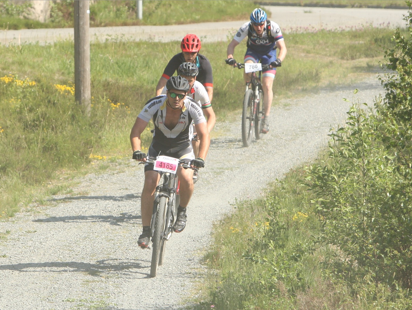 Skjermbilde 2018-06-02 kl. 12.24.48