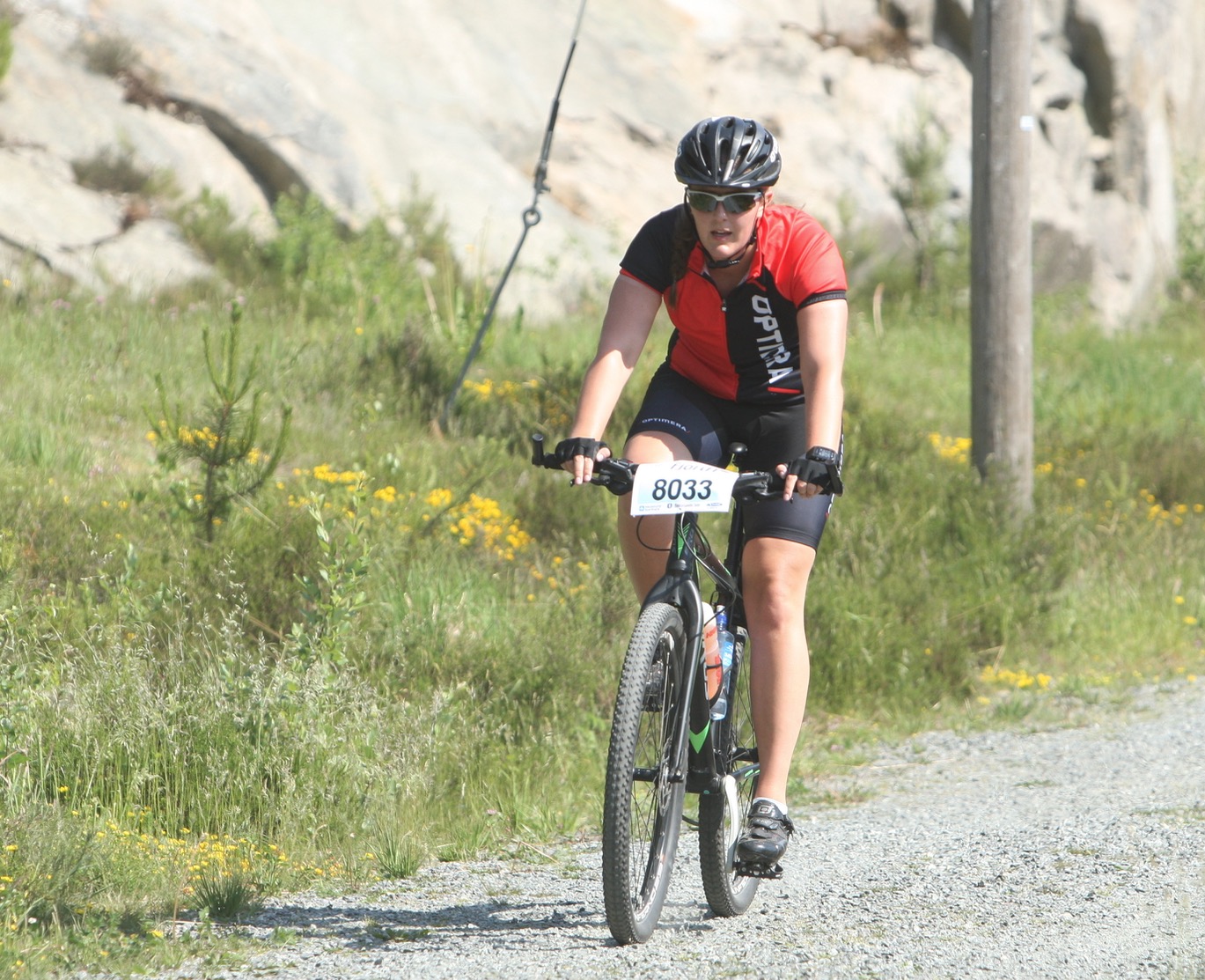 Skjermbilde 2018-06-02 kl. 12.34.25